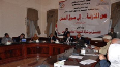 سري : انشاء المجلس القومي لتنمية مهارات الموارد البشريه