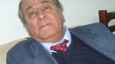 خبير يطالب بسرعة إعادة نشاط لجنة كتابة تاريخ النوبة