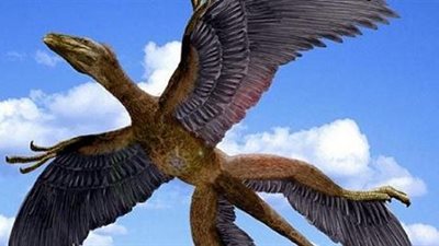 دايلي تلغراف :الديناصورات لم تنقرض!!