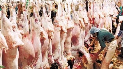 وزارة الزراعة تطرح كميات من اللحوم البلدية والمستوردة بأسعار اقتصادية