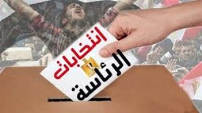 غالبية المصريين في السويد يصوتون لصالح المشير السيسي