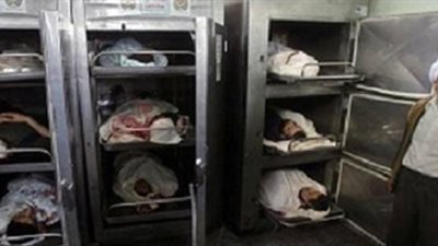 مصرع 14 من عائلة واحدة بسوهاج بينهم معلم ومعيدة بعين شمس و5 طلاب