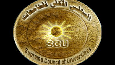 الأعلى للجامعات : 200 ألف طالب يستخدمون 537 مقررا إلكترونيا بالجامعات