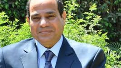 الرئيس السيسي يصدر قرارا بقانون بتعديل بعض أحكام قانون تنظيم الجامعات