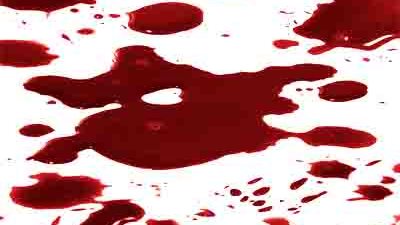 مقتل وإصابة 25 مجندا من حرس الحدود في هجوم مسلح بالوادي الجديد