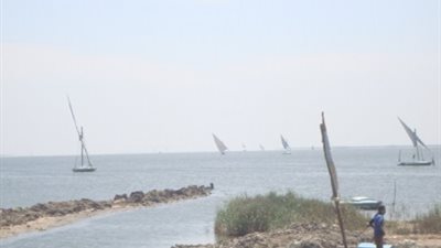 نائب نقيب الفلاحين يطالب بمحاسبة المسئولين عن فساد بحيرة البرلس بكفرالشيخ