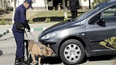 سيارة طالب الدبلوم تثير الزعر بأسيوط ..والأمن يكشف اللغز