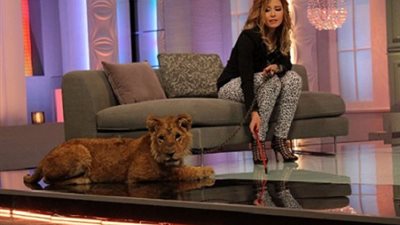 بالفيدو تامر أمين علي الهواء لـ