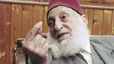 حافظ سلامة : 