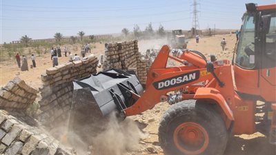 محافظ بني سويف  26 ألف فدان من أراضي الدولة في 7 أيام بالتنسيق مع القوات المسلحة والشرطة