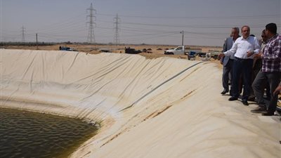 محافظ بني سويف يوجه بحصر مساحات الزراعات والمشروعات الجادة بأراضي الدولة المتعدي عليها لتقنينها وفقا للقانون 