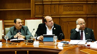 مجلس النواب يفجر مفاجأة بخصوص تصريح وزير التربية والتعليم