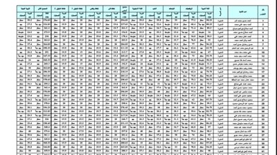بالأسماء.. ننسر نتيجة الشهادة الابتدائية لمحافظة الوادى الجديد