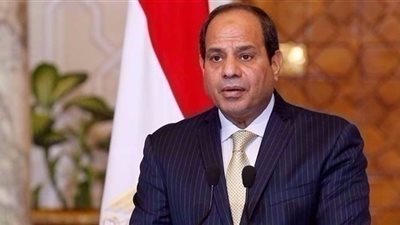 السيسي يبحث مع وزير خارجية السوداني خصوصية العلاقات بين مصر والسودان