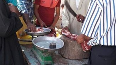 تفعيل غرف العمليات ببيطرى المنوفية 