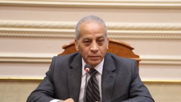 اللواء محمد الحلوانى