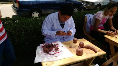 جامعة عين شمس تستقبل الدفعة السابعة من جامعة الطفل