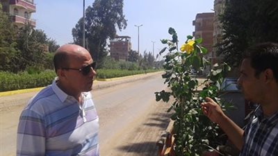 بالصور.. تجميل وتزيين ميادين ومدارس أشمون بالمنوفية