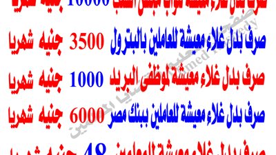 تعرف علي قيمة بدل غلاء المعيشة للعاملين بالدولة : تبدأ من 10 ألاف جنيه لأعضاء مجلس النواب.. وتنتهي بـ 48 جنيه للمعلم