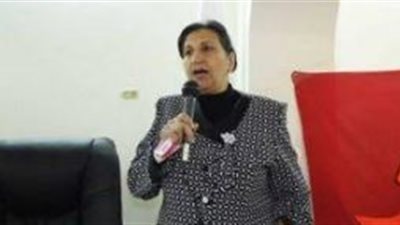 استمرار اعمال مبادرة عام المرأة المصرية 2017