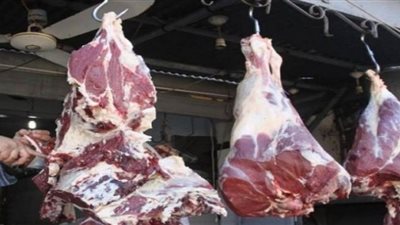 التموين تعلن عن اسعار اللحوم الحية استعدادا لعيد الاضحى