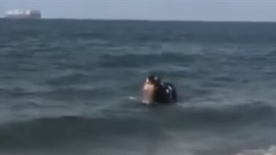 بالفيديو| عجل يهرب من اصحابة الى قناة السويس