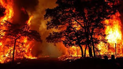 يوم الحرائق بأسيوط.. يبدأ  بـ15 منزل بمركز الفتح وحرائق بـ5 مراكز اخرى