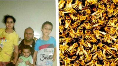 أسراب النحل تهاجم طلاب مدارس وأهالي قرية بشبراخيت البحيرة.