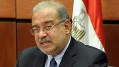 شريف اسماعيل يتفقد عدد من المشروعات بالأقصر