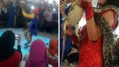 فيديوفاضح .. التعليم المصري علي 