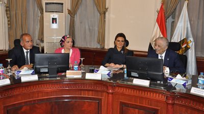 تفاصيل إجتماع  وزيرا التعليم والاستثمار والتعاون الدولى