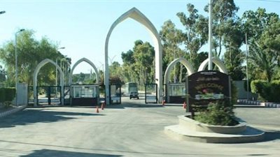 جامعة جنوب الوادي تنظم الدورة العربية الثالثة عشر لخماسيات كرة القدم