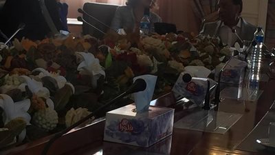 سفيرة بلجيكيا: مصر متقدمة في علاج السرطان.. وعلاقتنا بها ليست وليدة اليوم