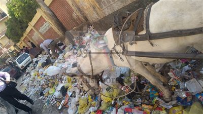 بالصور| مدارس الصعيد تتحول لمقالب للقمامة .. البقاء لله في أولادنا 