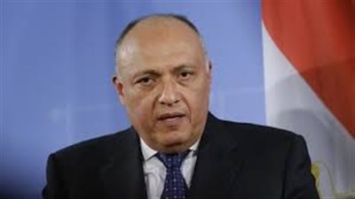 سامح شكري يبحث مع نظيره الجيبوتي قضايا منطقة القرن الأفريقي