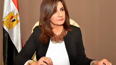 نبيلة مكرم: ينبغي الاستعانة بالخبرات العالمية واستلهام التجارب الناجحة