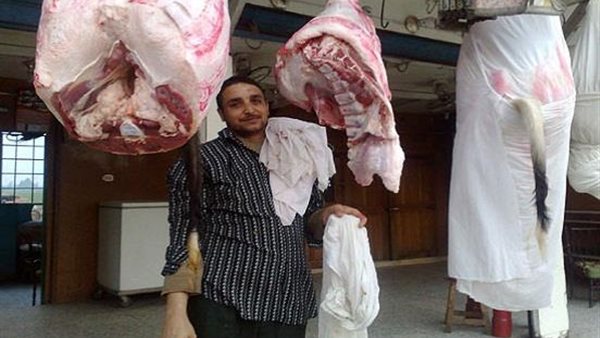 صورة ارشيفية