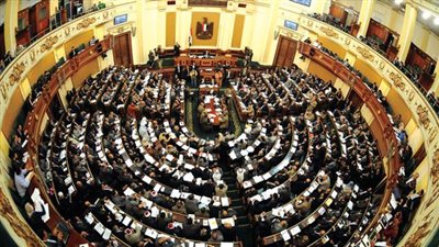 نائبة برلمانية تطالب وزير التعليم العالي بعزل أساتذة الجامعات من الإخوان.. وتؤكد :العزل تنفيذا لقانون الإرهاب