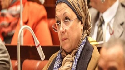 تمثيل مشاهد حادث مسجد الروضة أمام البرلمان