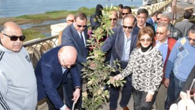 محافظ سوهاج ورئيس الجامعة يشاركان فى تشجير الكورنيش الشرقى بـ1000 شجرة