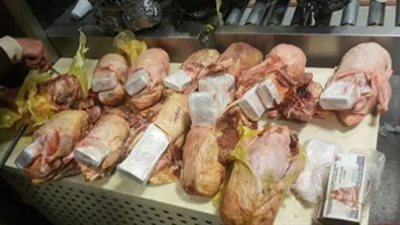 احباط محاوله تهريب مليون و360 الف جنية داخل بط مجمد