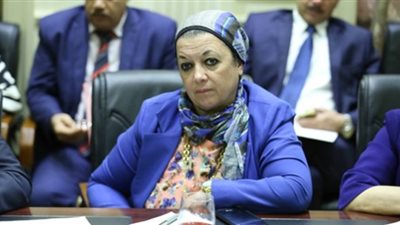 ماجدة نصر: وضع جدول أجور وزيادة رواتب المعلمين ينهى ظاهرة الدورس الخصوصية نهائيا