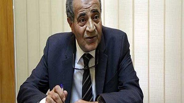 الدكتور على المصيلحى