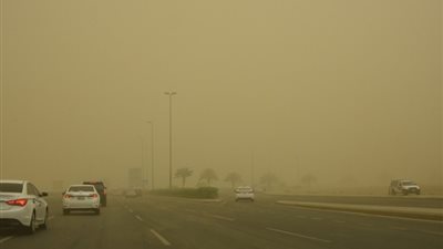 سوء الأحوال الجوية يؤدى الى اقتلاع الأشجار وأعمدة الانارة