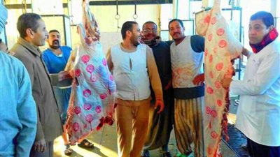 عبد المنعم : تشغيل الاختام الجديدة 