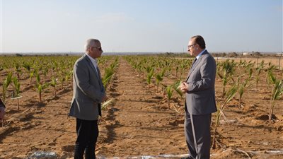 محافظ بني سويف يناقش اجراءات الحل النهائي لمشكلة الصرف بالمنطقة الصناعية لاستيعاب 21 ألف متر مكعب من مياه الصرف  