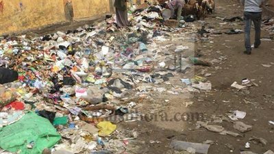 بالصور.. مدارس 