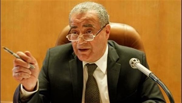 الدكتور على المصيلحى