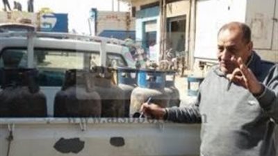 حملات تموينية على أسواق الأقصر