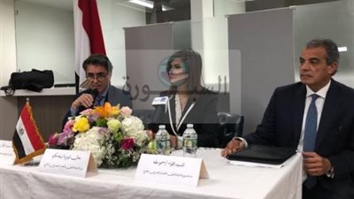 وزيرة الهجرة: المصريين بالخارج يؤكدون دعمهم للقوات المسلحة والشرطة في العملية الشاملة 